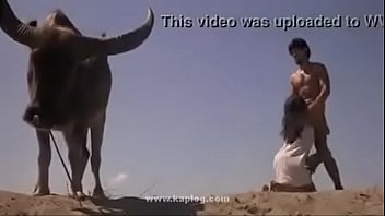 Sex In Dessert, Anyone Knows The Moovie Name?