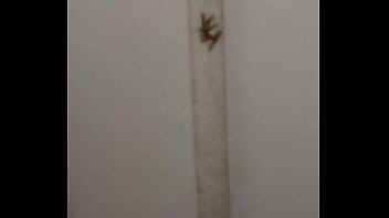 Formiga Safada Dando Pro Bonde Todo