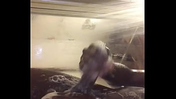 Masturbation, Shower, Quickie, Bbc, Soloboy - Unknown - 2025 - Intense - Performance - Video 3856916