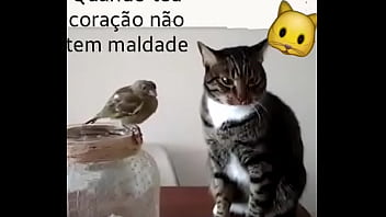 Gay, Dotado-x-casado - Gay - 2025 - Sexy - Performance - Video 3711456