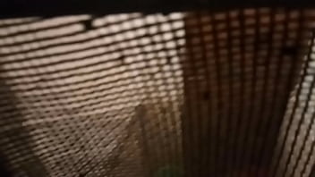 Sexy Bhabi In Bathroom - bathroom, toilet, hidden-camera, sexy-bhabi - Video 3847362