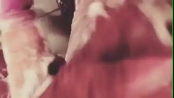 Solo, Gay, Big-cock, Lima, Peru - Gay - 2025 - Wild - Show - Video 3910869