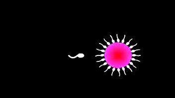 _[a] Touch Sensitive_ On Artist: Super Furry Animals