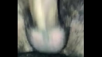 Amador Ursão Fudendo