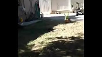 Nuestro Amigo Nos Visita