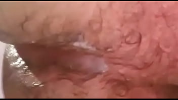 Bombando Rabo De Um Putinho