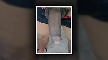 Meus Dois Vizinhos Safadoes