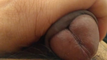 Rola, Soloboy, Pinto - Unknown - 2025 - Wild - Performance - Video 3814405