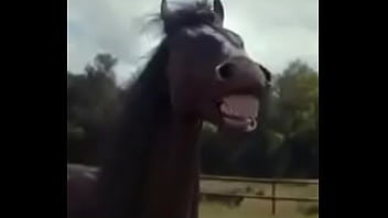 Gay, Ano, Tevi - Gay - 2025 - Amazing - Session - Video 3877639