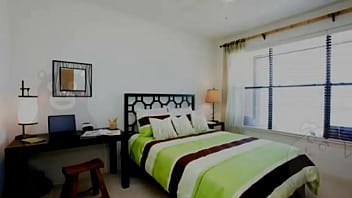 Pig V. A Guinsiete Xd