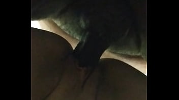 Bbc Hot Latina Pussy Loves Black Cock