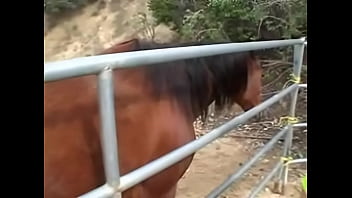 Anal, Cumshot, Facial, Blonde, Outdoor, Blowjob, Tattoo, Squirting, Pov, Pussyfucking - Cumshot - 2025 - Incredible - Experience - Video 6585759