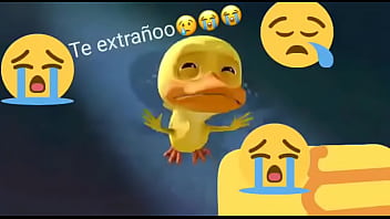 Cock, Gay, Gay-amateur - Gay - 2025 - Hot - Performance - Video 3786539