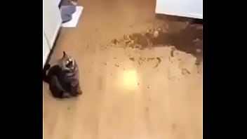 No Es Porno Xddddddd