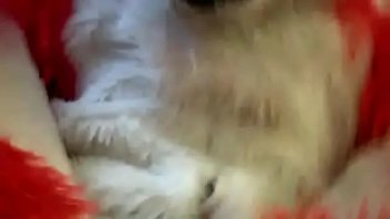 Fox, Gay, Yiff, Furry, Fursuit, Maxamilion, The, M-m - Gay - 2025 - Sexy - Performance - Video 3773160