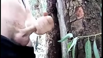 Gay On Forest Scooporn