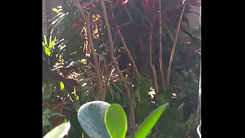 Brincando Com O Pau No Quintal Ao Ar Livre