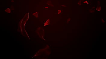 Qa American Beauty Final