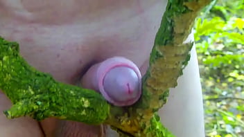 Wanking In Woods13