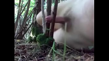 Wanking In Woods17