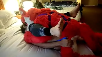 Fox, Gay, The, Yiff, Furry, Fursuit, Fursona, Maxamilion, M-m - Gay - 2025 - Steamy - Session - Video 3758967