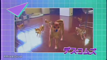 Doggy, Doggo - Unknown - 2025 - Wild - Scene - Video 3757254