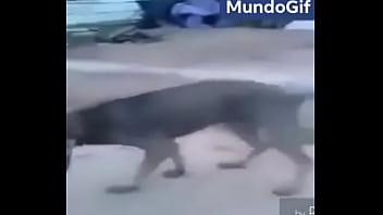 Stockings, Sex, Hardcore, European, Sexy, Slut, Shemale, Webcam, Japanese, Anal-sex - Shemale - 2025 - Wild - Show - Video 3829210