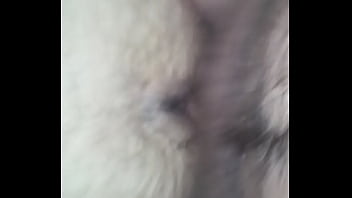 Asshole, Gay, Gay-fucking - Gay - 2025 - Incredible - Scene - Video 3744876