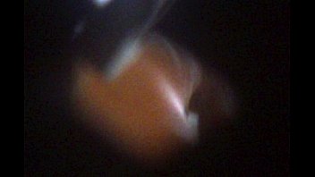 Amateur - Amateur - 2025 - Wild - Session - Video 6396861