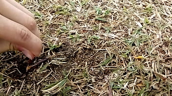 Mãe Natureza Fode De Quatro