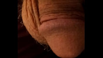 See, Chics - Unknown - 2025 - Wild - Experience - Video 3526159