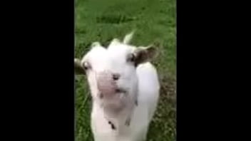 Rica, Panocha, Sabrosa - Unknown - 2025 - Amazing - Performance - Video 3741090