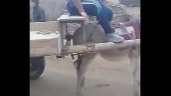 Outdoor, Blowjob, Young, Groupsex, Couple, Group-sex - Blowjob - 2025 - Wild - Performance - Video 3740569