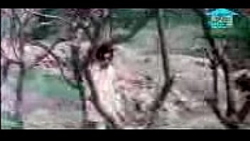 Unknown - 2025 - Wild - Show - Video 6527774