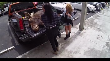 Large Meat Stick Is Drilling A Lewd Amateur In The Store