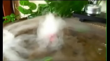 Unknown - 2025 - Amazing - Scene - Video 6592332