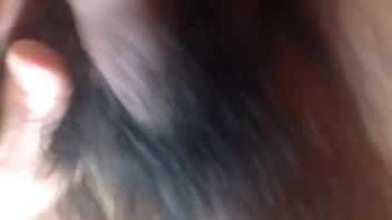 Testicular En Recuperación 1