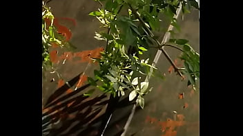 Masturbation, Parque - Unknown - 2025 - Incredible - Performance - Video 3701159