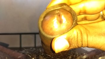 My Husband Friend Doing Self Handjob I Want This Black Dick