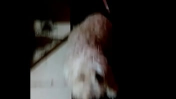 Descubro A Mi Perro Con La Pelota