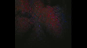 Amateur, Natural-breast, Fish-net - Amateur - 2025 - Hot - Session - Video 3782387