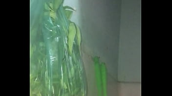 Vk Thich Ck Chich - sex, chich - Video 3680146