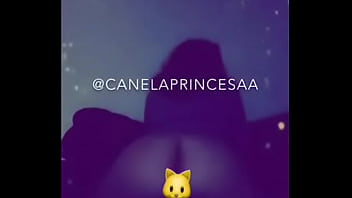 Latina Ass Shake @canelaprincesa