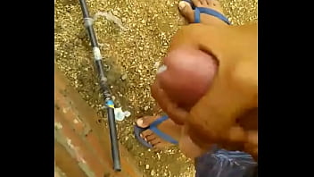 Gatinho 2 Quase Simpático