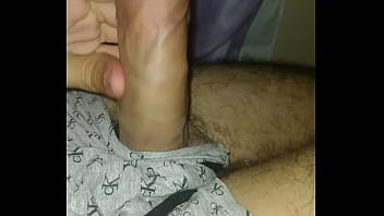 18, Brasil, Coroa, Rosinha, Pinto, Novinho, Minhas-gerais - Exotic - 2025 - Wild - Show - Video 3691567