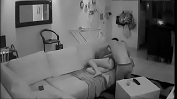 Ipcam In The Livingroom