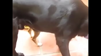 Young, Anal-sex - Teen - 2025 - Wild - Scene - Video 3665865