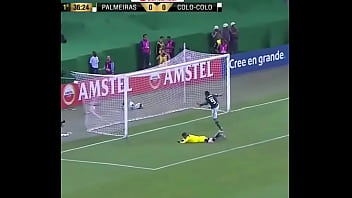 Gola_o Do Dudu Delicia