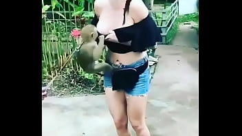 Monkey Flashed Girl' Boobs