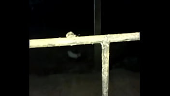 Foda De Besouro Bem Dada